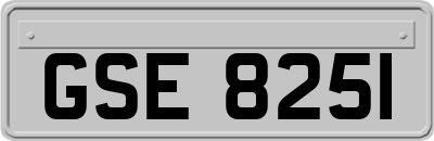 GSE8251