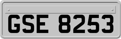 GSE8253