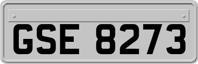 GSE8273