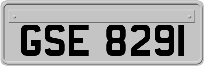 GSE8291