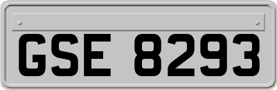 GSE8293