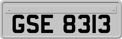GSE8313