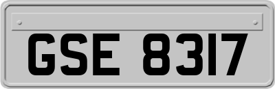 GSE8317