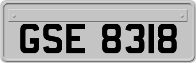 GSE8318