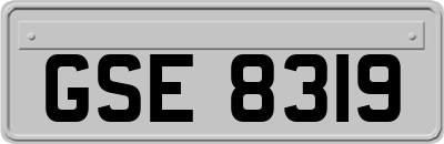 GSE8319