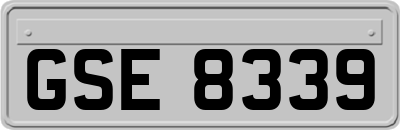 GSE8339