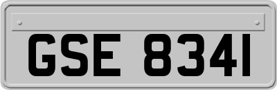 GSE8341