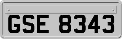 GSE8343