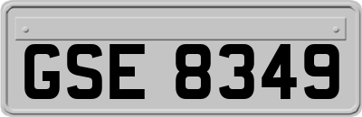 GSE8349