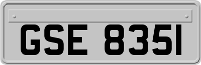 GSE8351