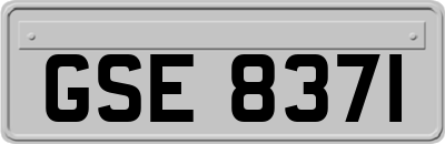 GSE8371