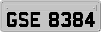 GSE8384