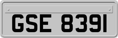 GSE8391