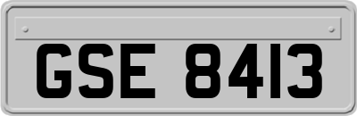 GSE8413