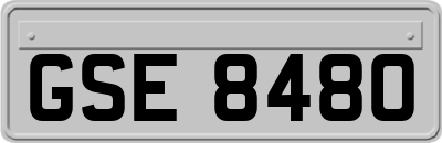 GSE8480