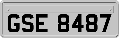 GSE8487