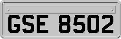 GSE8502