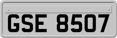 GSE8507