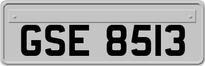 GSE8513