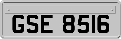 GSE8516