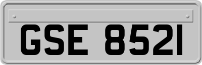 GSE8521