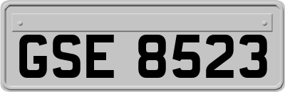 GSE8523