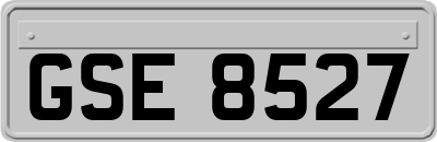 GSE8527