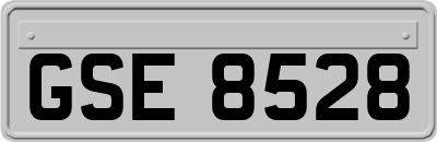 GSE8528