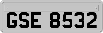 GSE8532