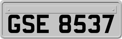 GSE8537