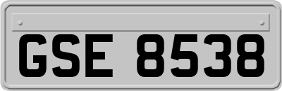 GSE8538