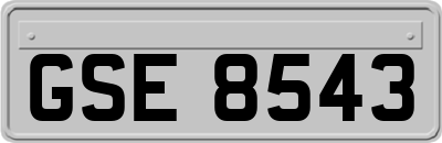 GSE8543