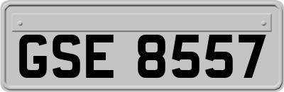 GSE8557