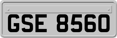 GSE8560