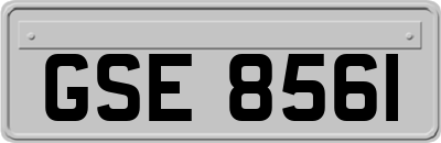GSE8561