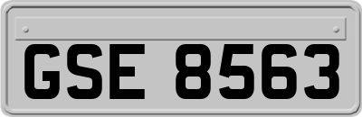 GSE8563