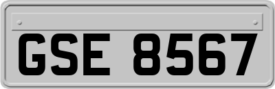GSE8567