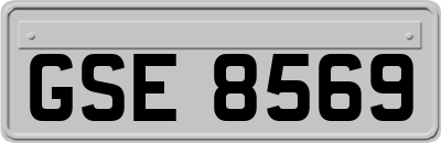 GSE8569