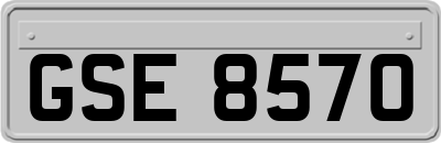 GSE8570