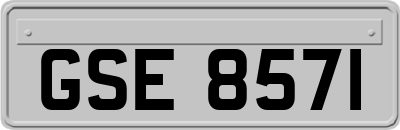 GSE8571