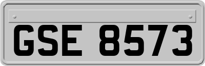 GSE8573