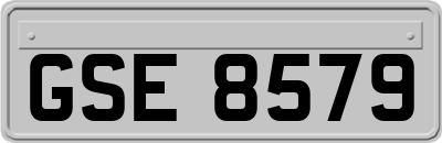 GSE8579