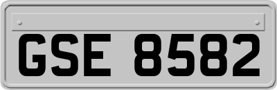 GSE8582