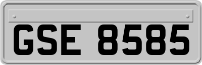 GSE8585