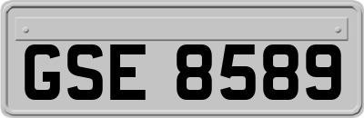 GSE8589