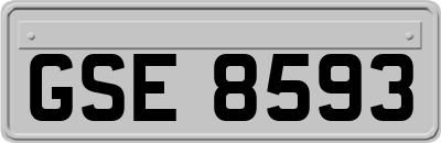 GSE8593