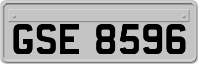 GSE8596