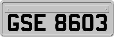 GSE8603