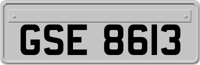 GSE8613