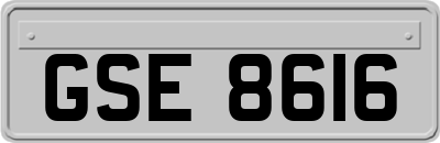 GSE8616